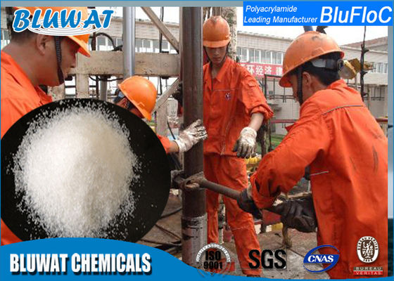 comprar Produtos químicos aniónicos granulados brancos da factura de papel do Polyelectrolyte de PHPA fabricação em linha