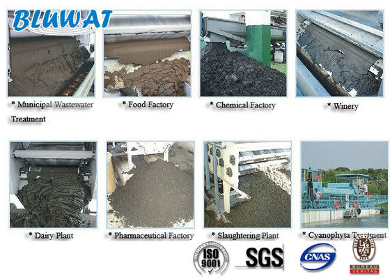 comprar Polyacrylamide Cationic do pó branco para a secagem da lama fabricação em linha