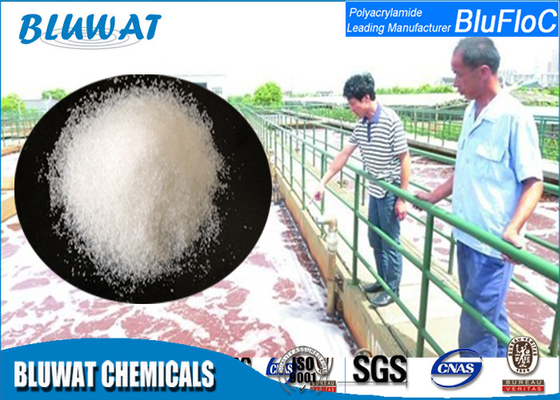 Polyacrylamide do Cation dos produtos químicos de Bluwat para o processamento do papel/a lavagem mina de carvão