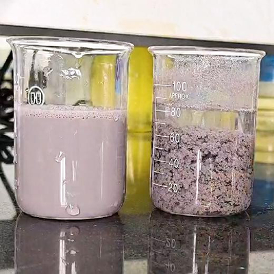 Polyacrylamide aniônico do floculante do polímero do tratamento da água da indústria de pintura