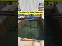 Polyacrylamide Flocculant Polyelectrolyte Tratamento de Água Lodo Engrossamento e Desaguamento